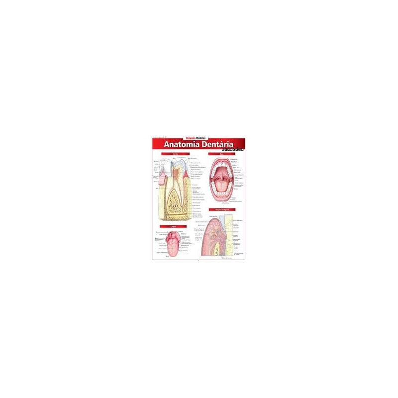 RESUMÃO MEDICINA - ANATOMIA DENTÁRIA