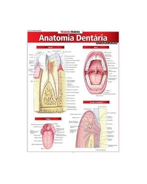 RESUMÃO MEDICINA - ANATOMIA DENTÁRIA