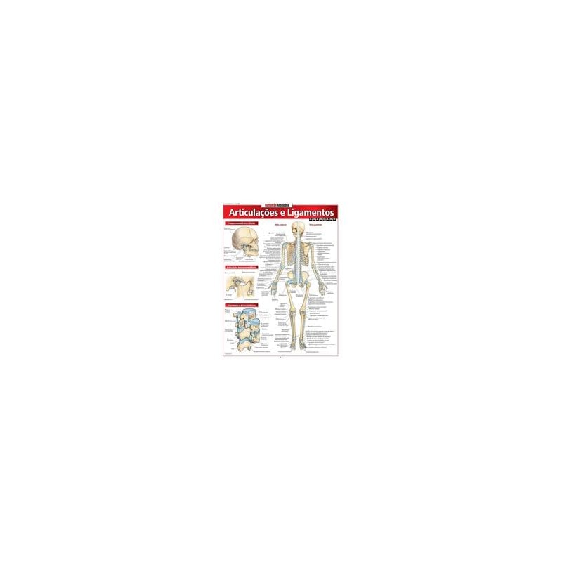 RESUMÃO MEDICINA - ARTICULAÇÕES E LIGAMENTOS