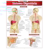RESUMÃO MEDICINA - SISTEMA DIGESTÓRIO