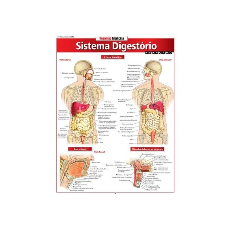 RESUMÃO MEDICINA - SISTEMA DIGESTÓRIO