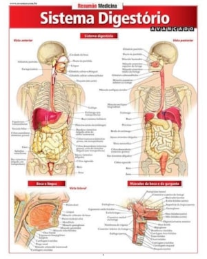RESUMÃO MEDICINA - SISTEMA DIGESTÓRIO