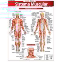 RESUMÃO MEDICINA - SISTEMA MUSCULAR AVANÇADO