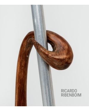 RICARDO RIBENBOIM