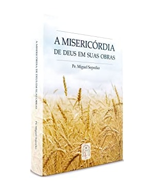 RICO EM MISERICÓRDIA - ENCÍCLICA DE SÃO JOÃO PAULO II