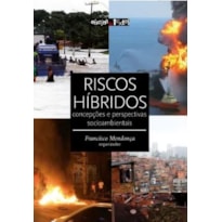 RISCOS HÍBRIDOS: CONCEPÇÕES E PERSPECTIVAS SOCIOAMBIENTAIS