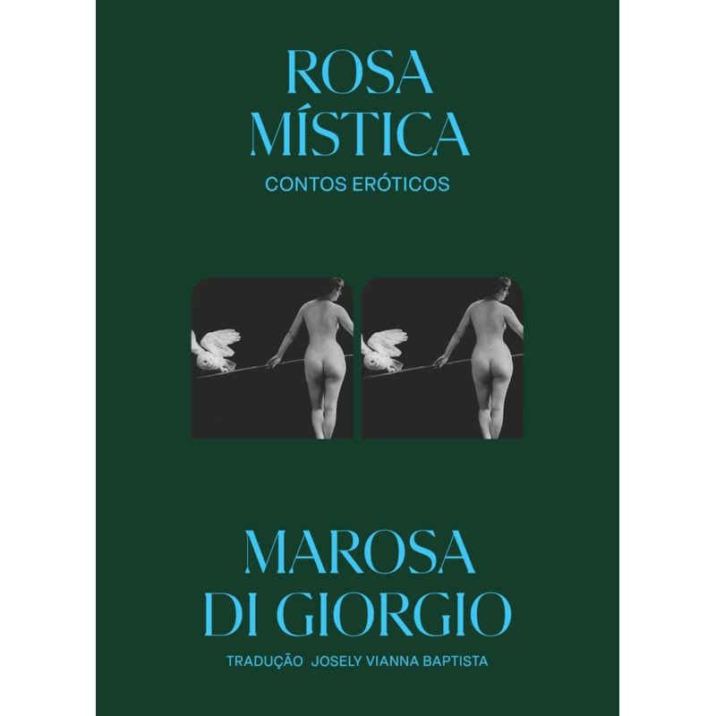 ROSA MÍSTICA: CONTOS ERÓTICOS