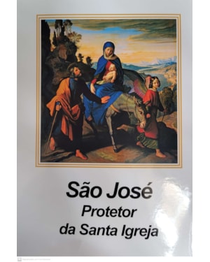 SAO JOSE PROTETOR DA SANTA IGREJA - 1ª