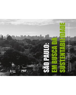 São paulo: em busca da sustentabilidade