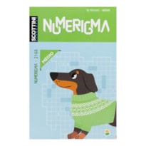 SCOTTINI NUMERIGMA N2168 329(M)