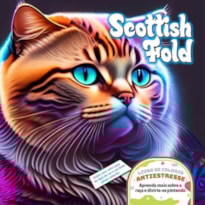 SCOTTISH FOLD
