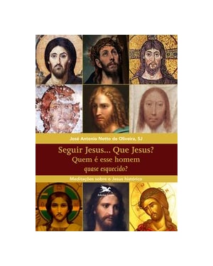 SEGUIR JESUS...QUE JESUS?: MEDITAÇÕES SOBRE O JESUS HISTÓRICO