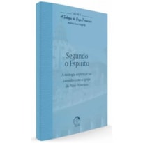 Segundo o Espírito: a teologia espiritual no caminho com a Igreja do Papa Francisco - Teologia do Papa Francisco vol. 11