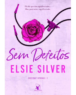 SEM DEFEITOS (CHESTNUT SPRINGS - LIVRO 1)
