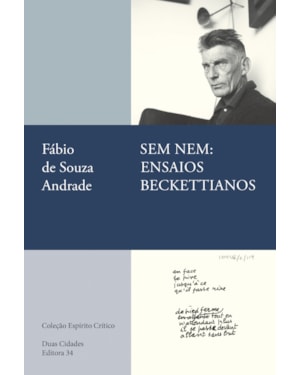 Sem nem: ensaios beckettianos
