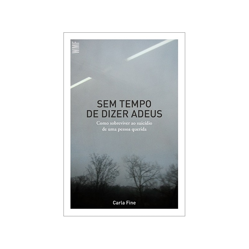 SEM TEMPO DE DIZER ADEUS: COMO SOBREVIVER AO SUICÍDIO DE UMA PESSOA QUERIDA