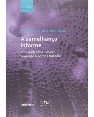 SEMELHANCA INFORME, A