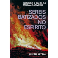 SEREIS BATIZADOS NO ESPÍRITO