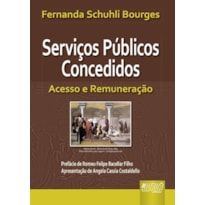 SERVIÇOS PÚBLICOS CONCEDIDOS - ACESSO E REMUNERAÇÃO