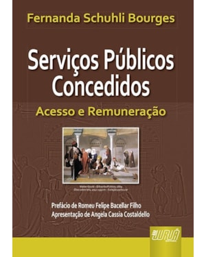 SERVIÇOS PÚBLICOS CONCEDIDOS - ACESSO E REMUNERAÇÃO