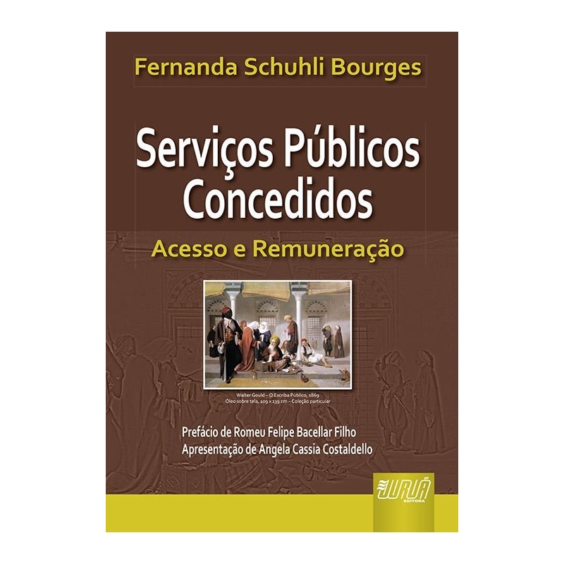 SERVIÇOS PÚBLICOS CONCEDIDOS - ACESSO E REMUNERAÇÃO