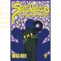 SETE BRUXAS E UM GATO TEMPORÁRIO (VOL. 1)