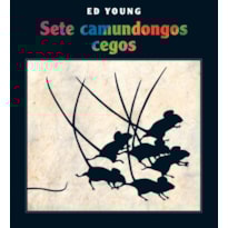 SETE CAMUNDONGOS CEGOS