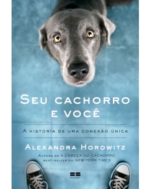 SEU CACHORRO E VOCÊ: A HISTÓRIA DE UMA CONEXÃO ÚNICA