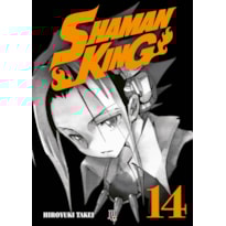 SHAMAN KING BIG VOL. 14