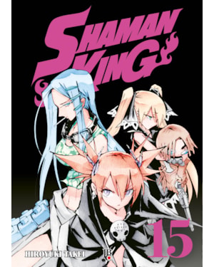 SHAMAN KING BIG VOL. 15