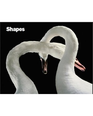 Shapes