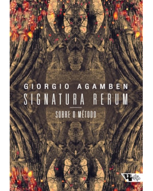 SIGNATURA RERUM - SOBRE O MÉTODO