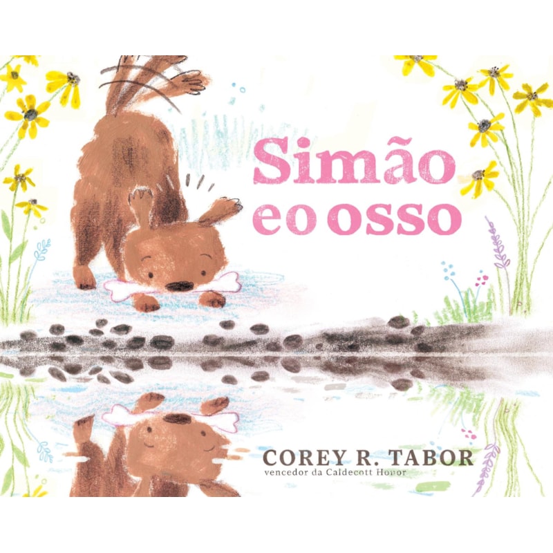 SIMÃO E O OSSO