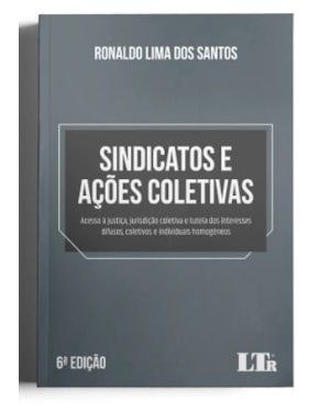 SINDICATOS E AÇÕES COLETIVAS: ACESSO À JUSTIÇA, JURISDIÇÃO COLETIVA E TUTELA DOS INTERESSES DIFUSOS, COLETIVOS E INDIVIDUAIS HOMOGÊNEOS
