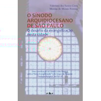 SÍNODO ARQUIDIOCESANO DE SÃO PAULO, O