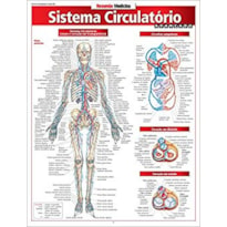 SISTEMA CIRCULATORIO AVANCADO - 1ª