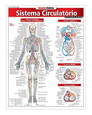 SISTEMA CIRCULATORIO AVANCADO - 1ª