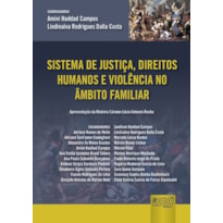 SISTEMA DE JUSTIÇA, DIREITOS HUMANOS E VIOLÊNCIA NO ÂMBITO FAMILIAR