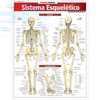 SISTEMA ESQUELETICO AVANCADO - 1
