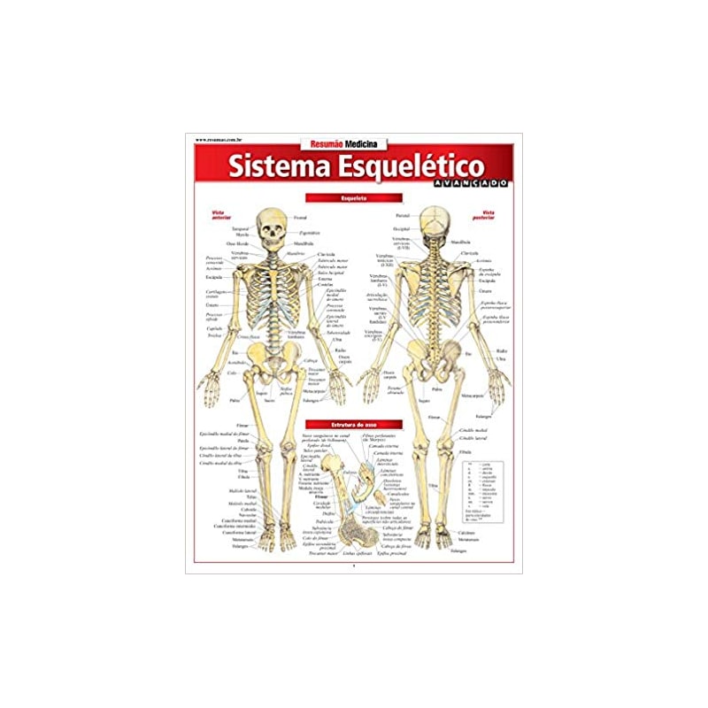 SISTEMA ESQUELETICO AVANCADO - 1