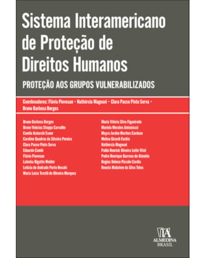 Sistema interamericano de proteção de direitos humanos: proteção aos grupos vulnerabilizados