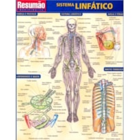 SISTEMA LINFATICO RESUMAO - 1