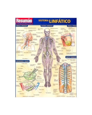SISTEMA LINFATICO RESUMAO - 1