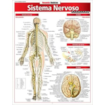 SISTEMA NERVOSO AVANCADO - 1