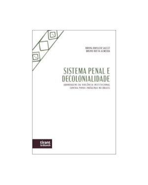 SISTEMA PENAL E DECOLONIALIDADE - 2024