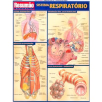 SISTEMA RESPIRATORIO RESUMAO - 1