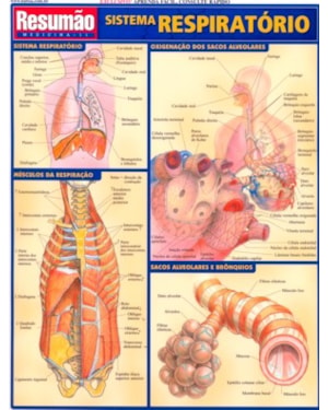 SISTEMA RESPIRATORIO RESUMAO - 1