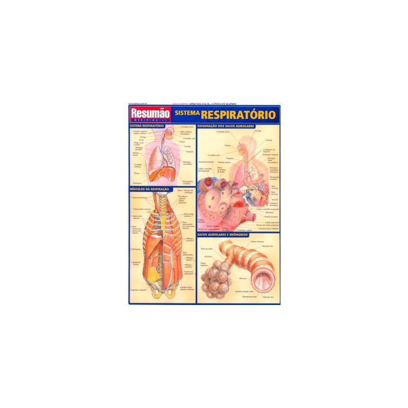 SISTEMA RESPIRATORIO RESUMAO - 1