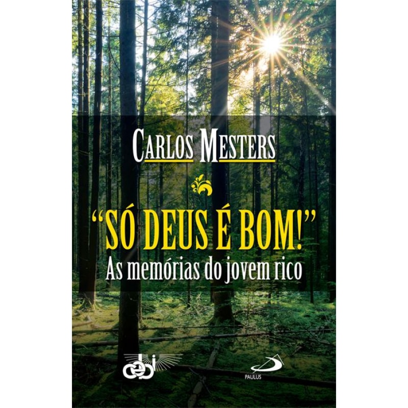 Só Deus é bom!: as memórias do jovem rico