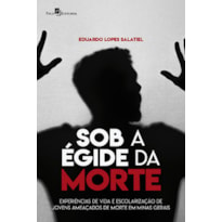 Sob a égide da morte: experiências de vida e escolarização de jovens ameaçados de morte em Minas Gerais